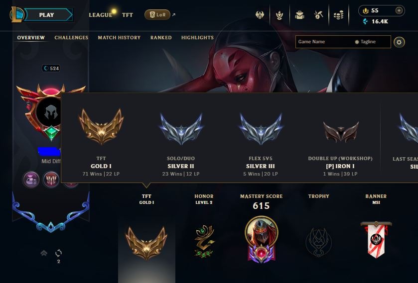 offer preview