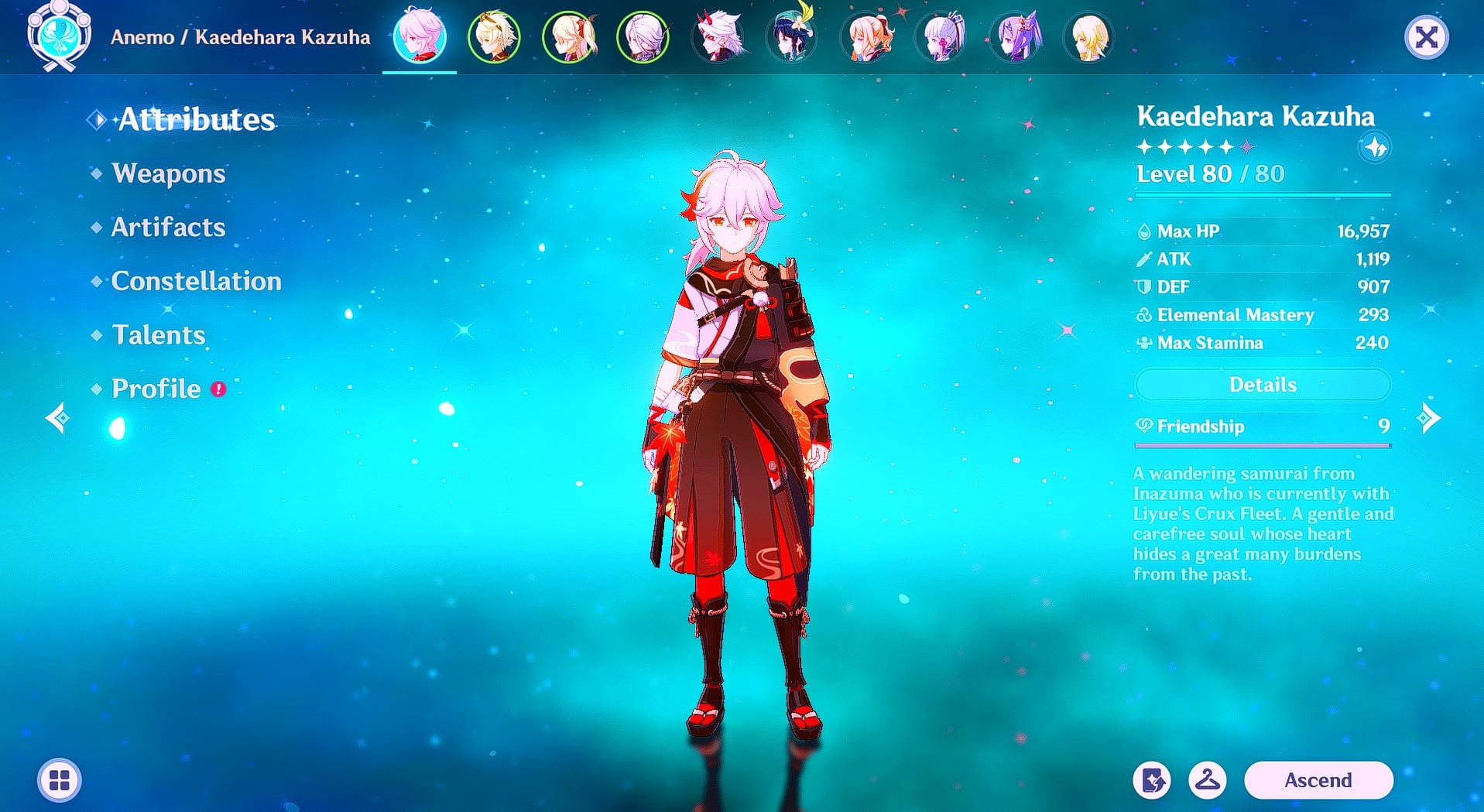 offer preview