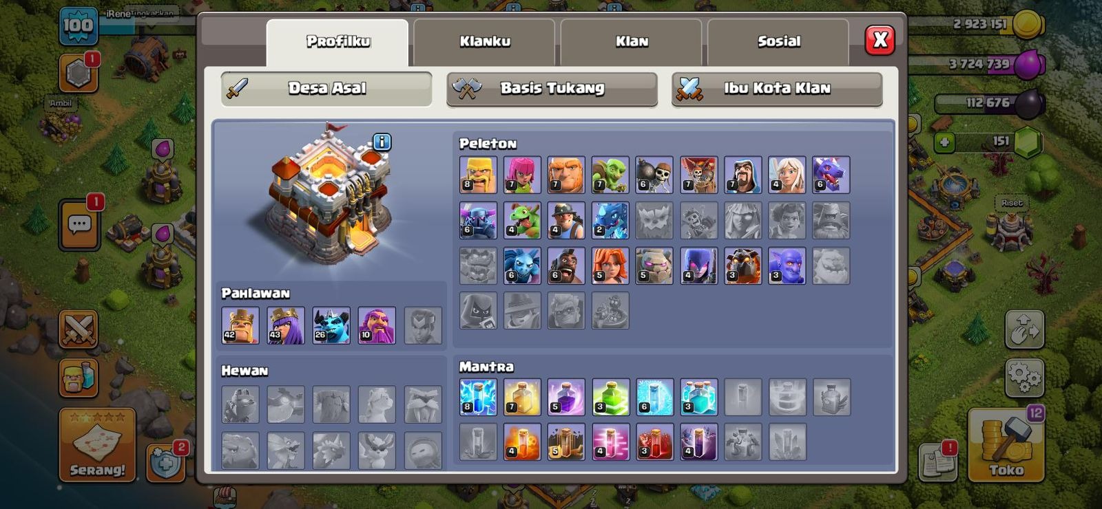 offer preview