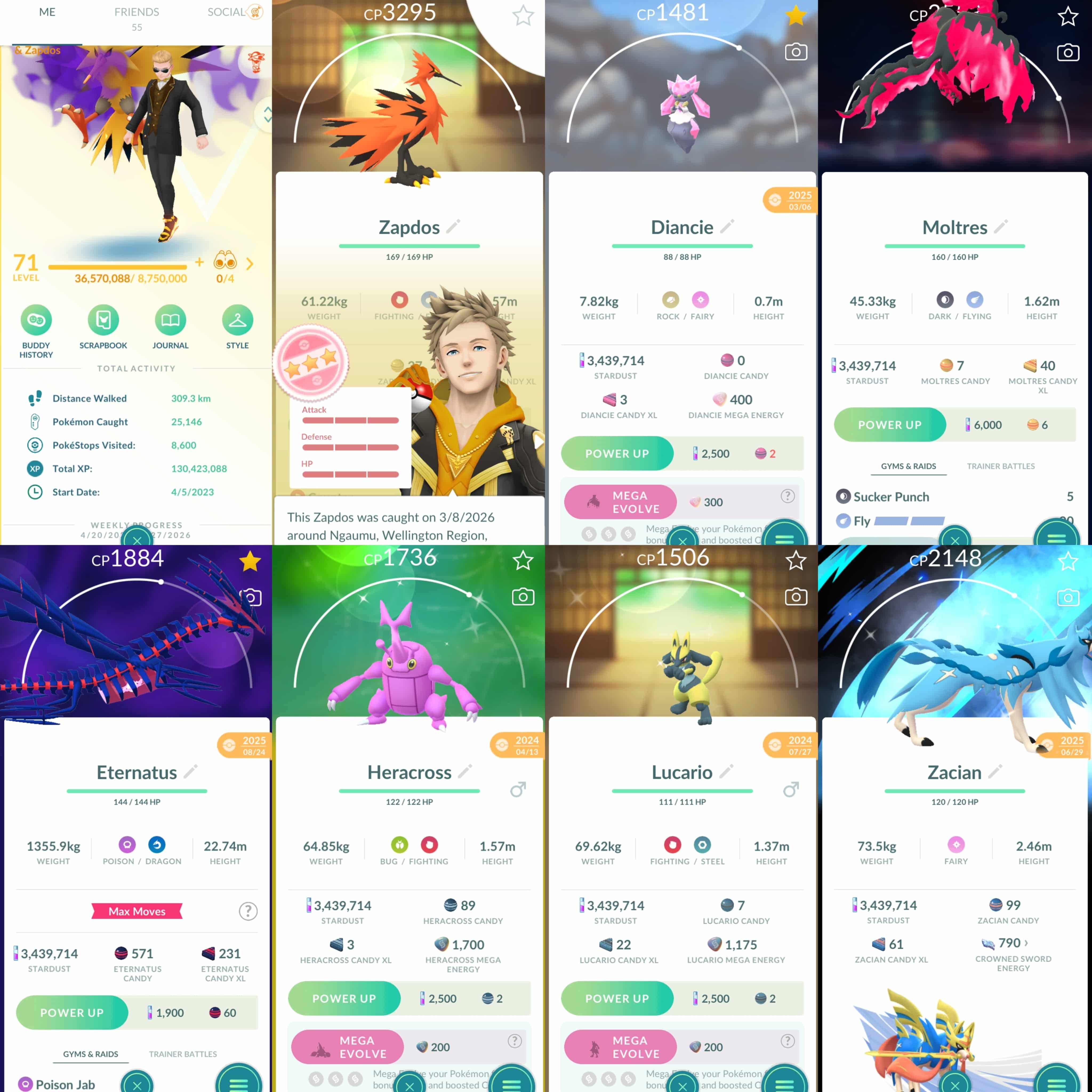 offer preview