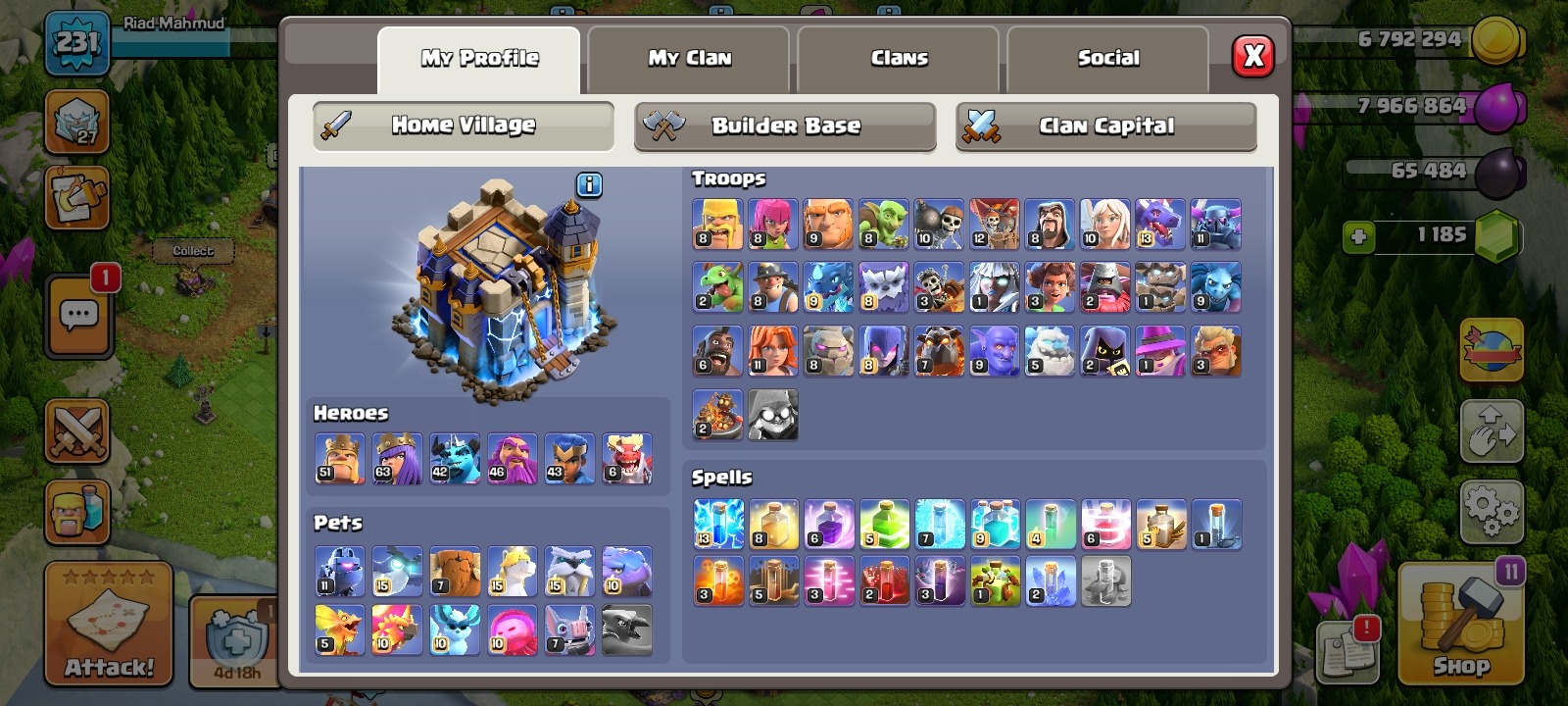 offer preview