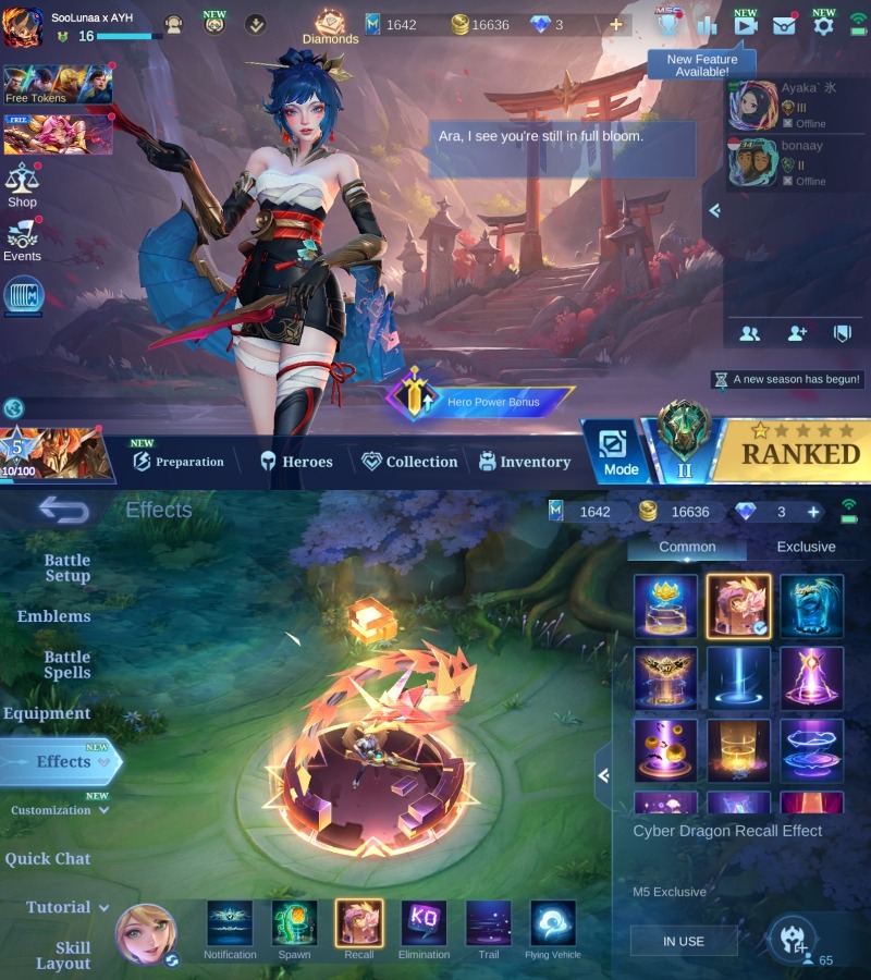 offer