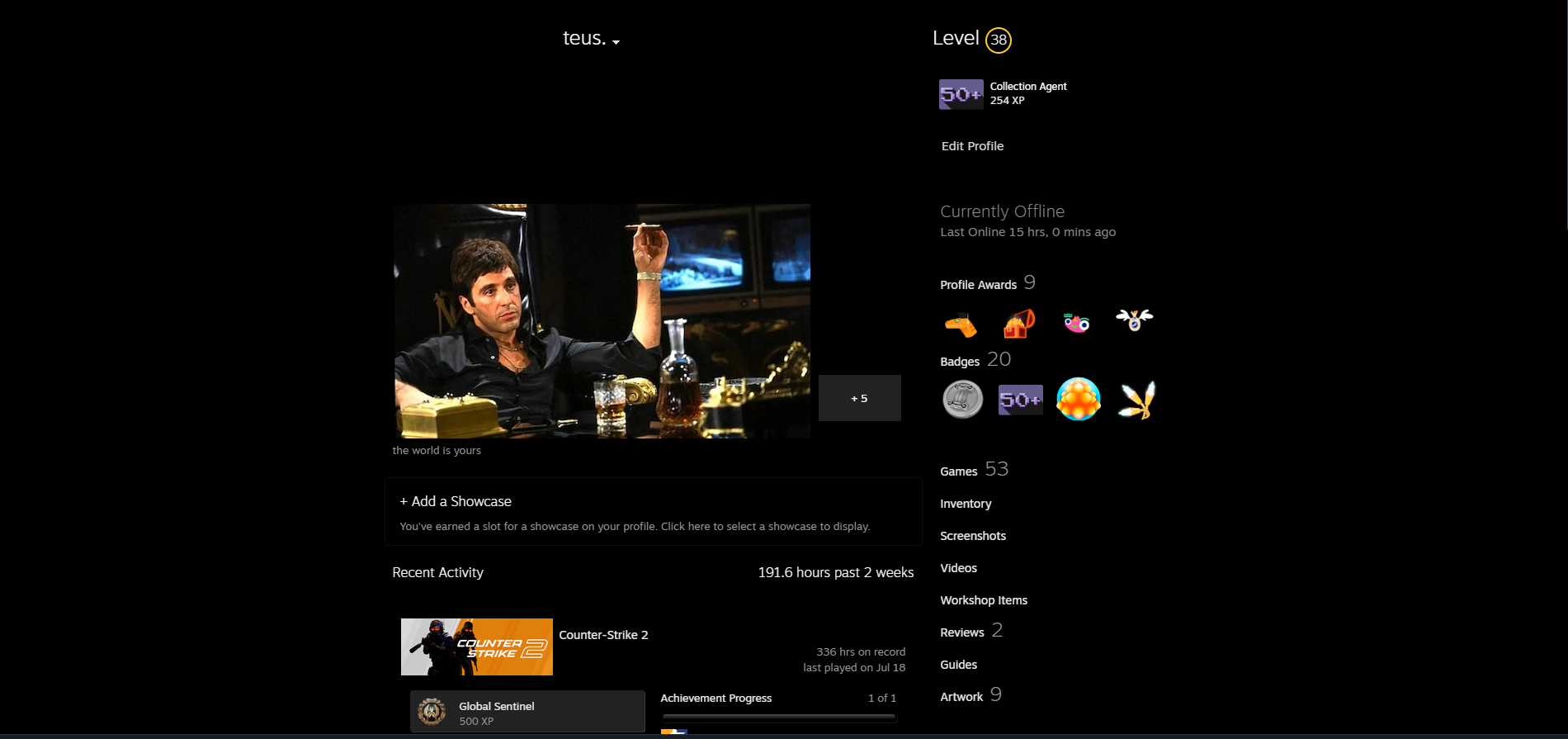 53 GAMES STEAM ACCOUNT, ACCOUNT LEVEL 38