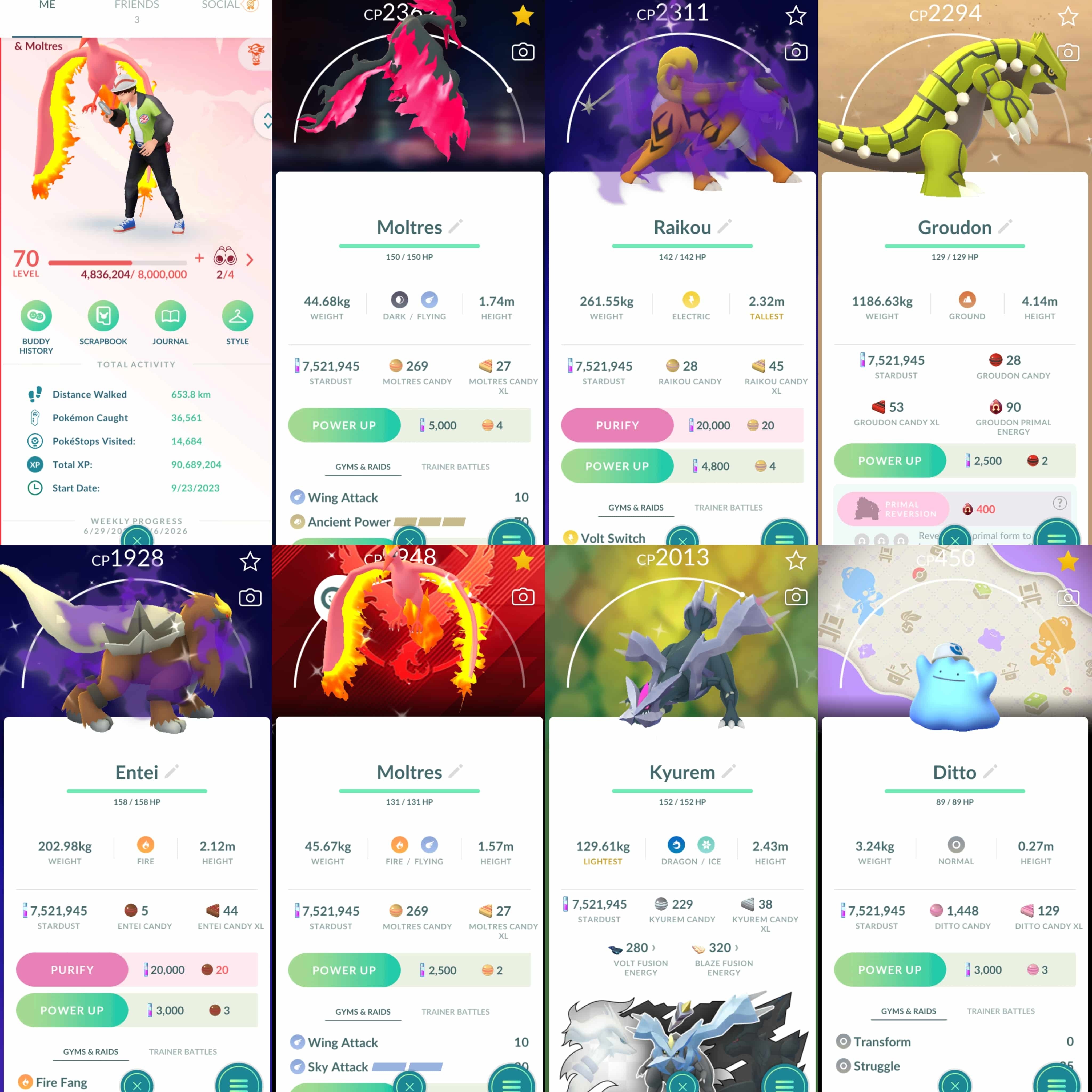 offer preview