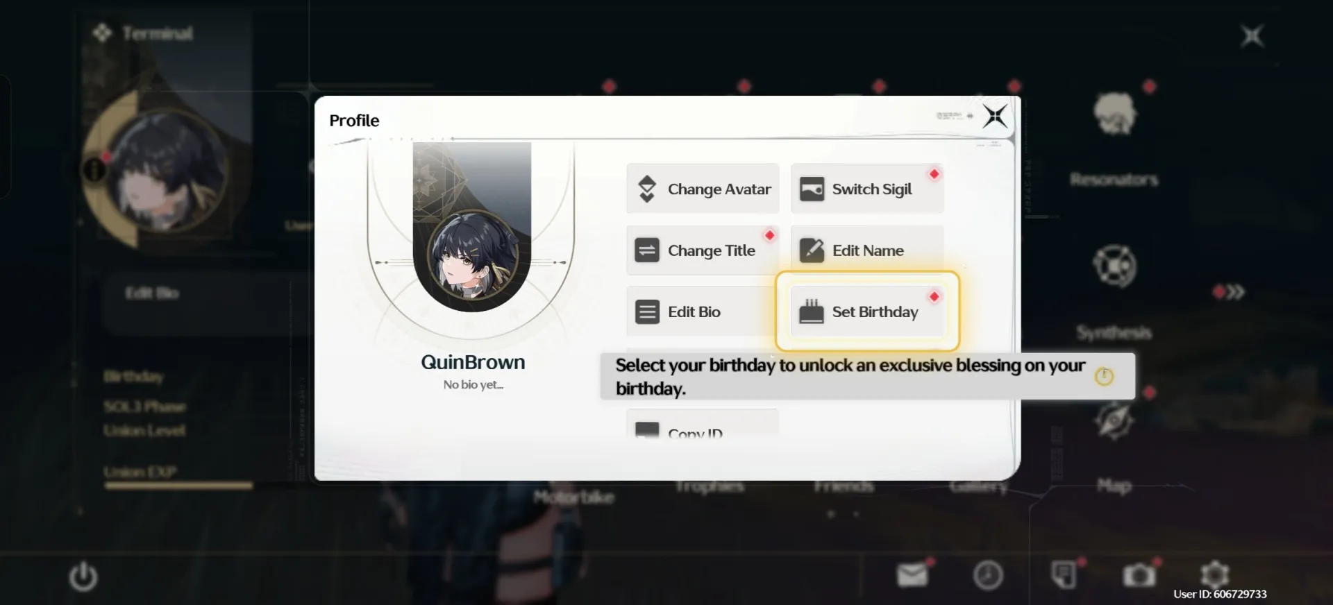 offer preview