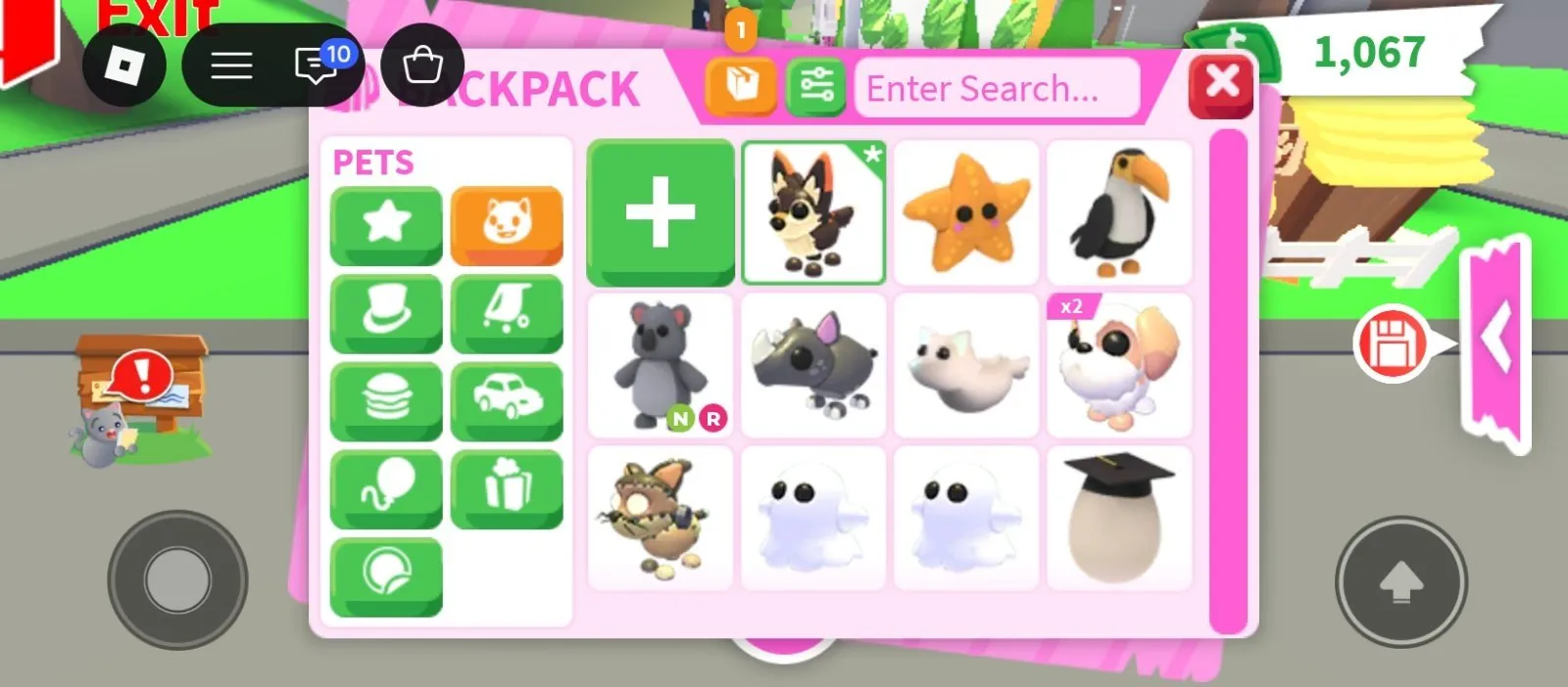 offer preview