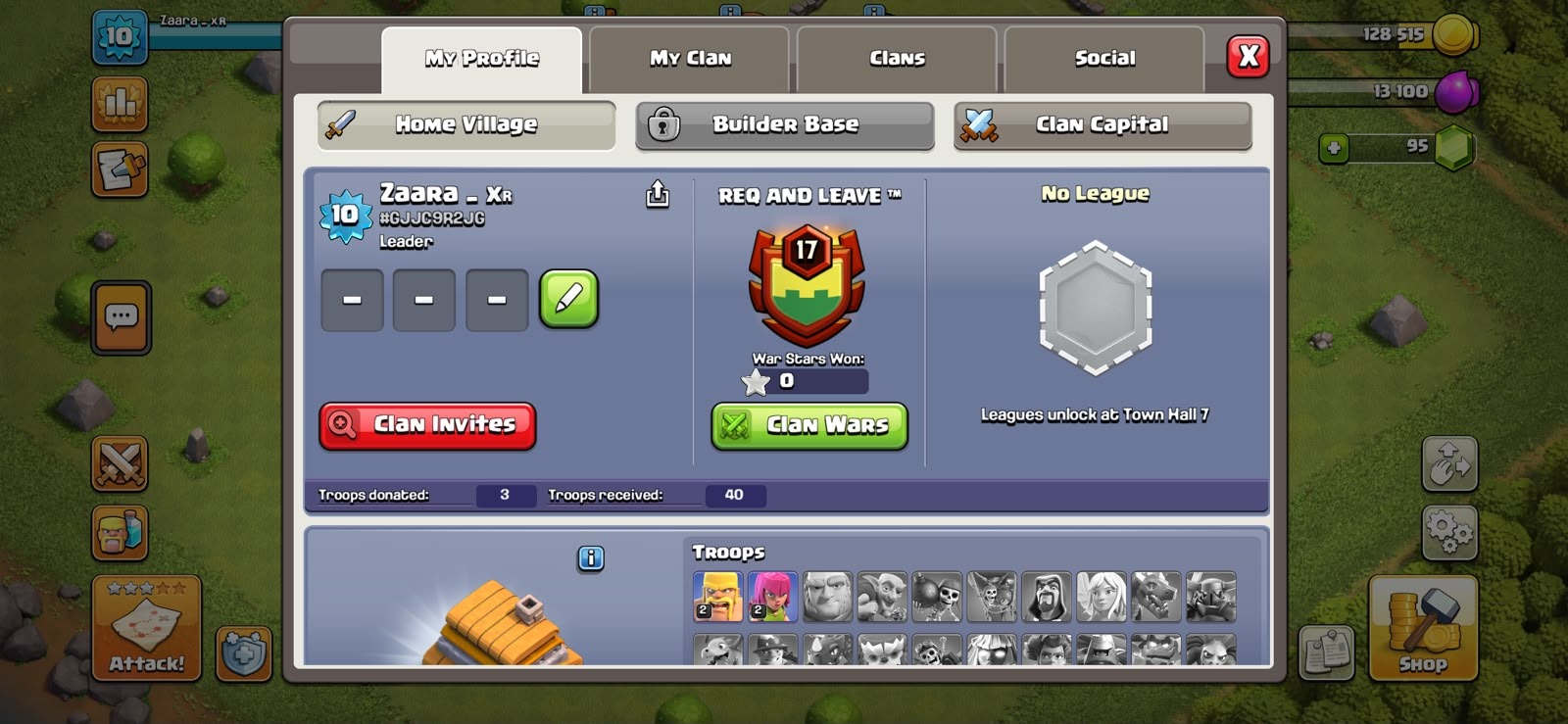 offer preview