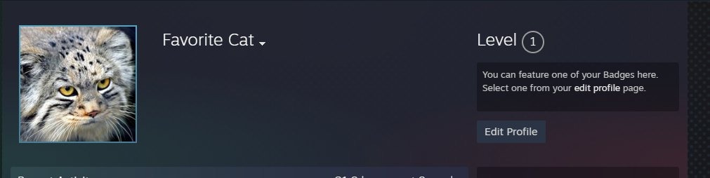 oferta