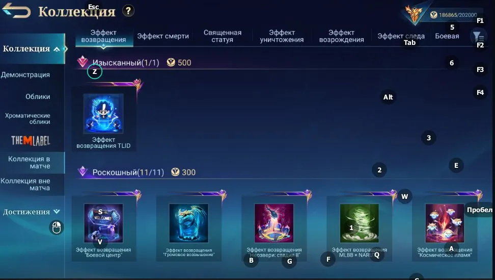 vista previa de la oferta