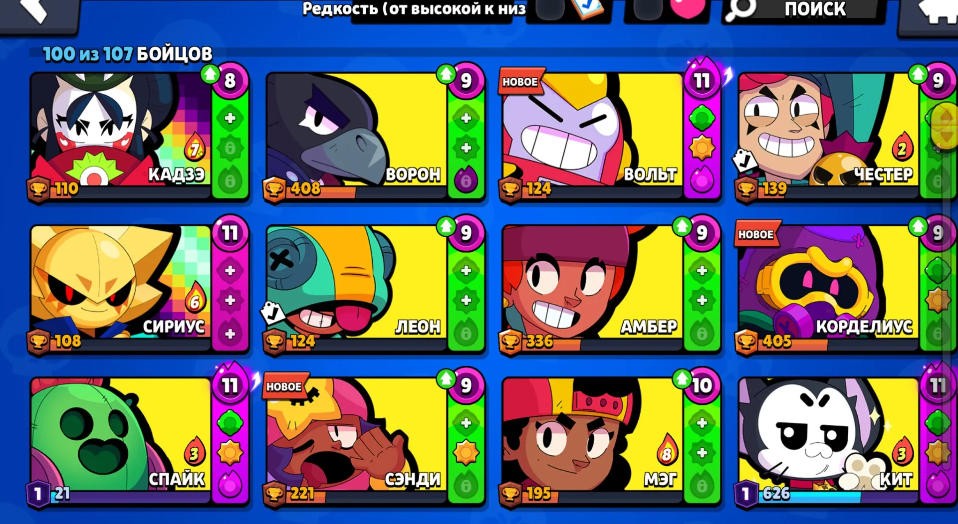 vista previa de la oferta