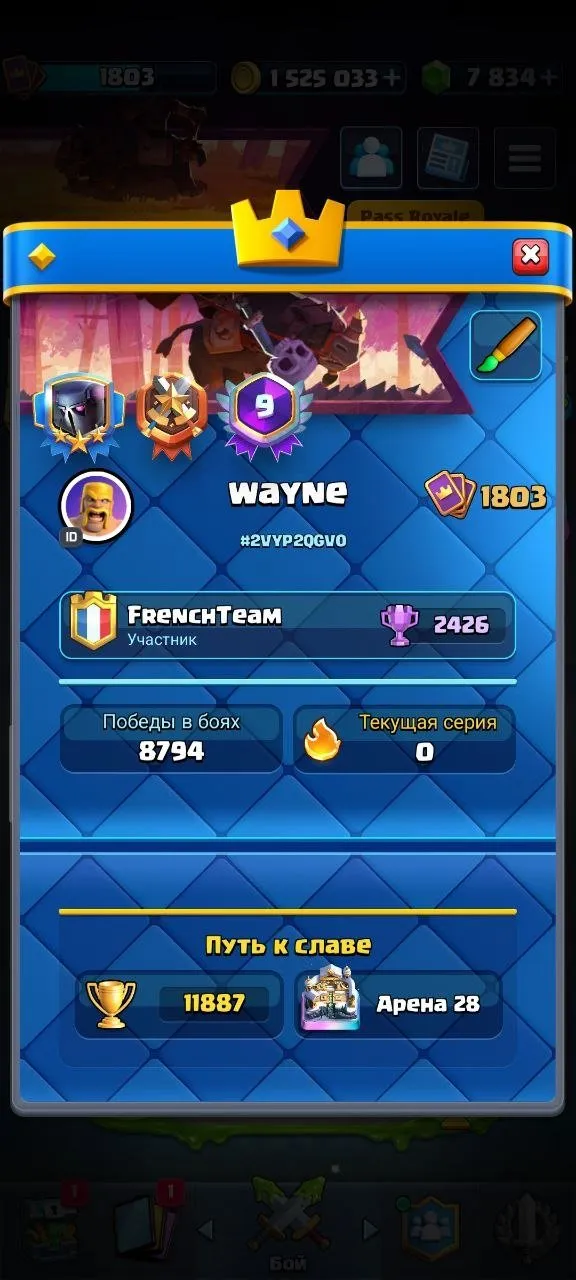 offer preview