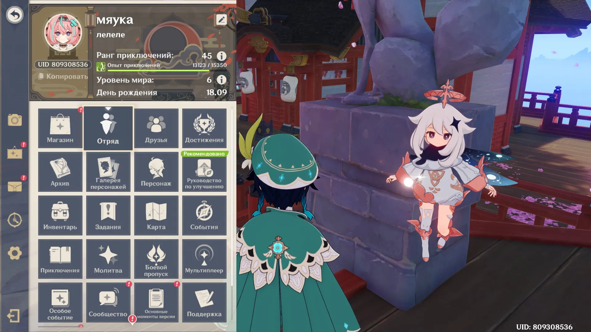 offer preview