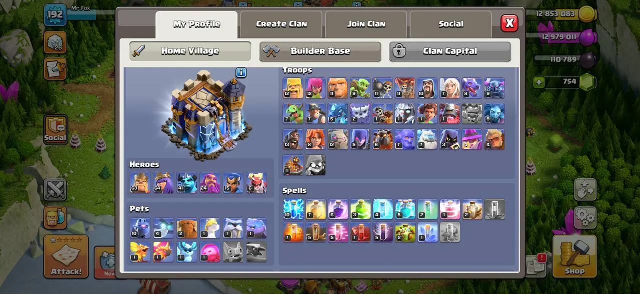 offer preview