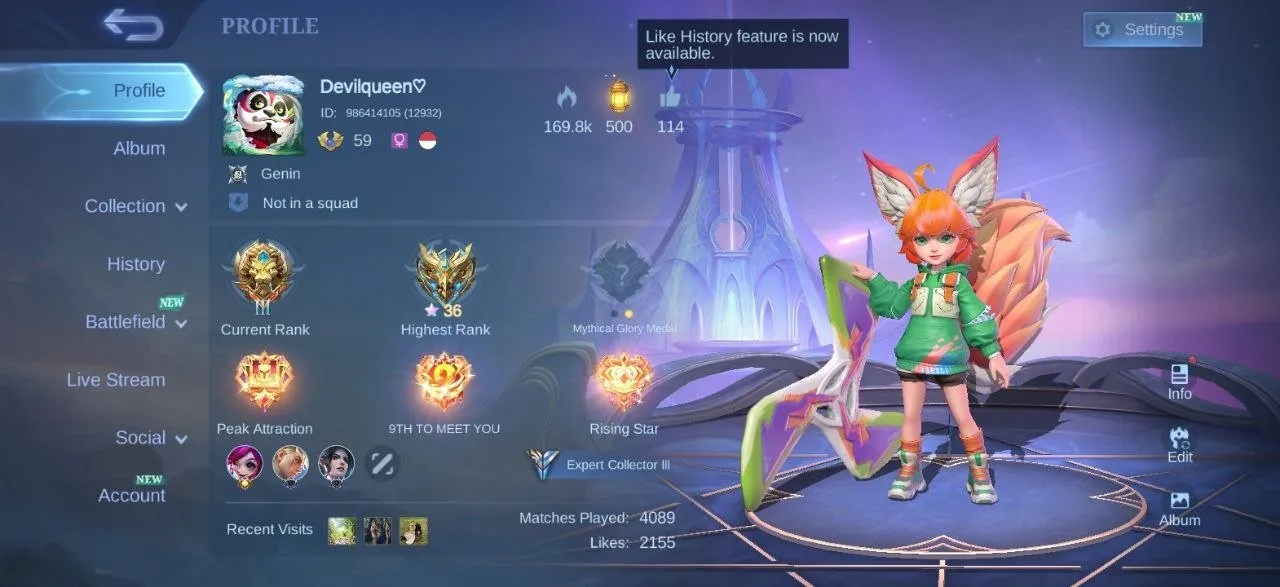 offer preview