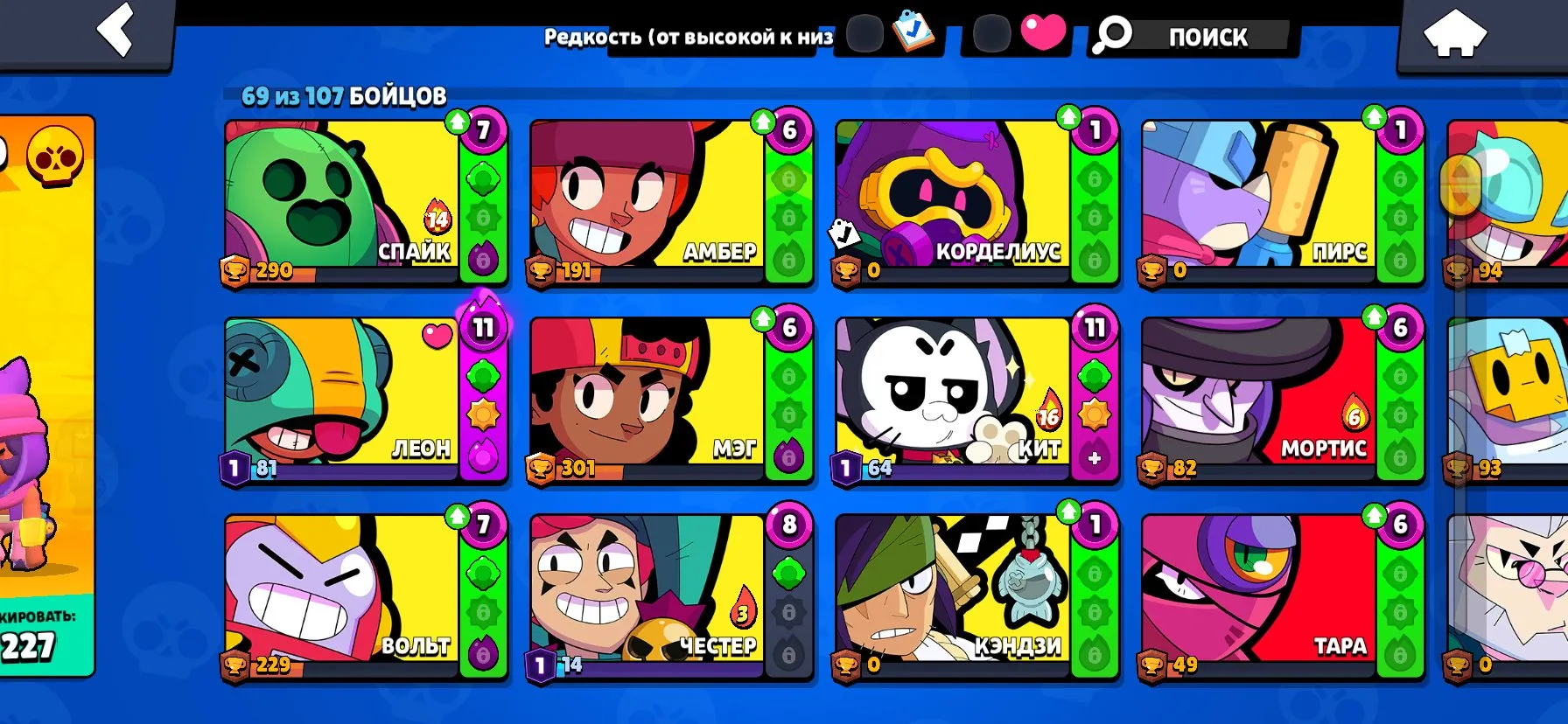 oferta