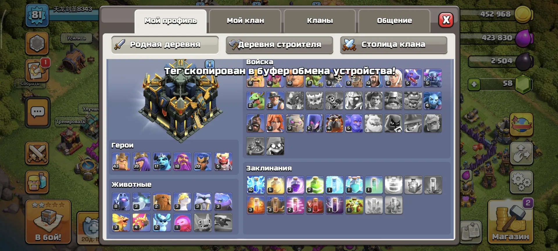offer preview