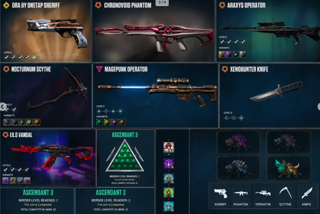 offer preview