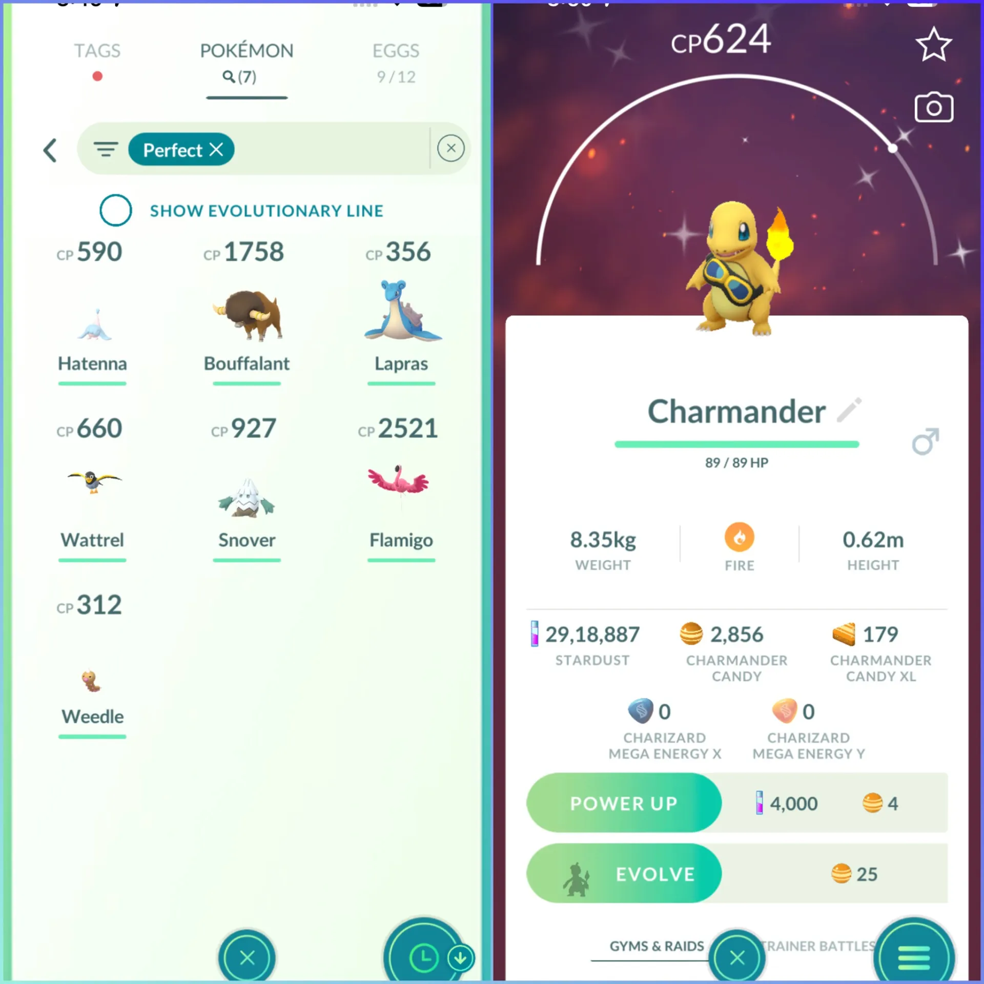 anteprima dell'offerta