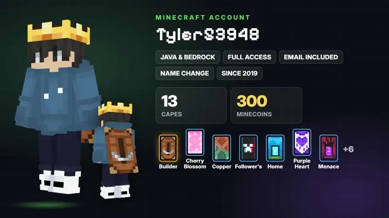 vista previa de la oferta