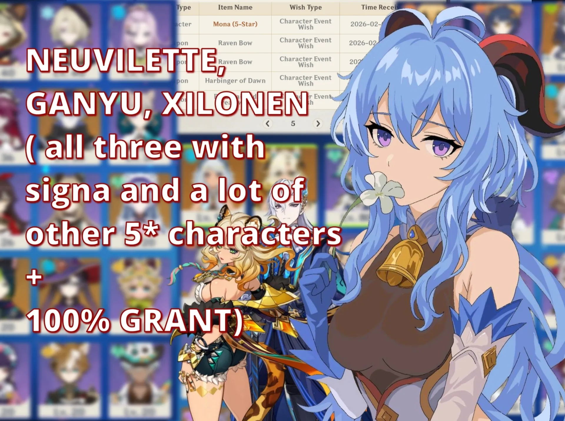 offer preview