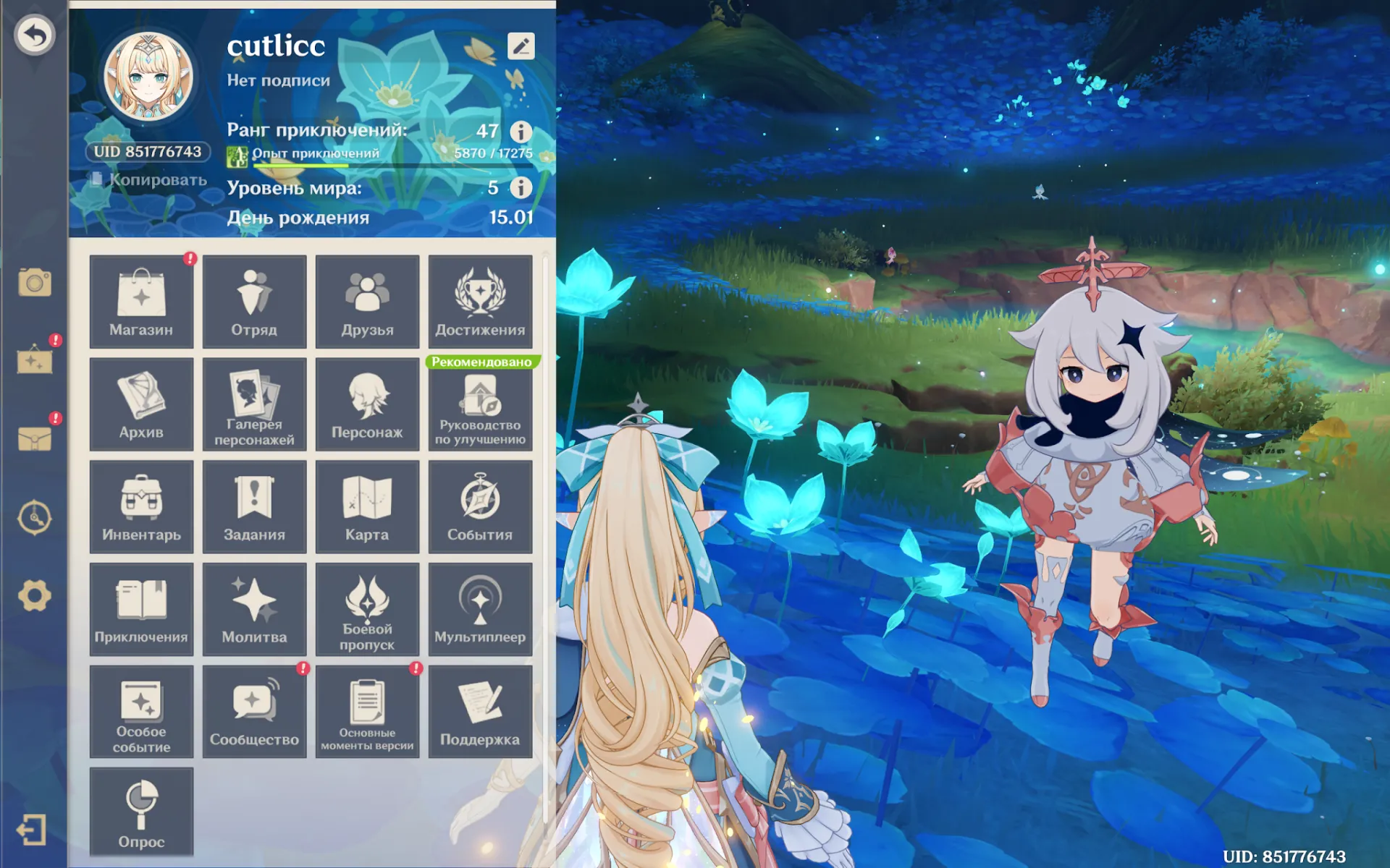 offer preview