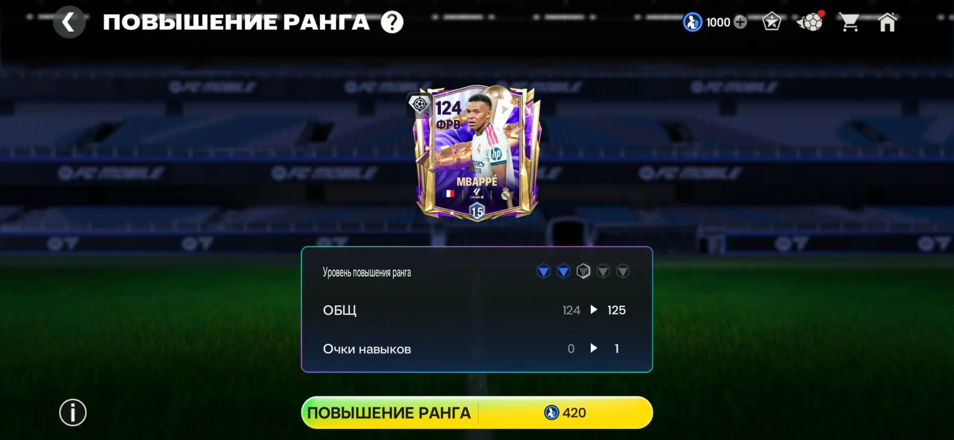 aperçu de l’offre